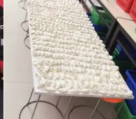 冬至來(lái)臨,公司員工一起來(lái)包"扁食"